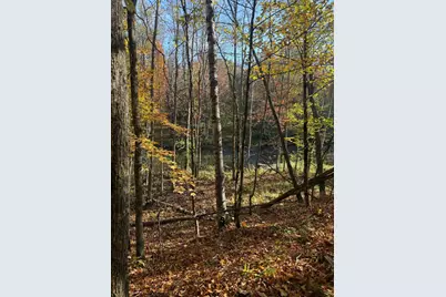 999 Porcupine Trail, Aitkin, MN 56431 - Photo 10