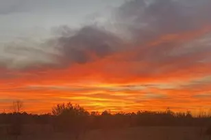 23846 Marmon St NE, Bethel, MN 55005 - Photo 38