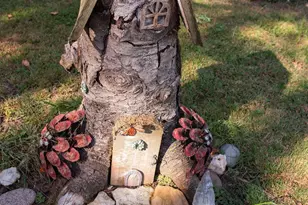 114 Fillmore Street E, Wykoff, MN 55990 - Photo 46