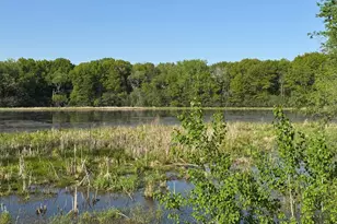 6135 Goodwin Ave S, Cottage Grove, MN 55016 - Photo 10