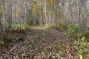 73855 Markville Rd, Arna Township, MN 55072 - Photo 8