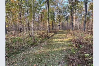 73855 Markville Road, Arna Township, MN 55072 - Photo 16