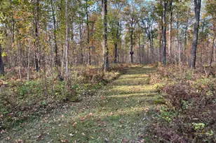 73855 Markville Rd, Arna Township, MN 55072 - Photo 16