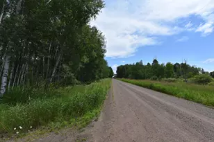 18625 Skunk Lake Rd, Dell Grove Township, MN 55072 - Photo 40