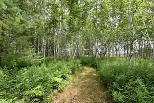 18625 Skunk Lake Rd, Dell Grove Township, MN 55072 - Photo 34