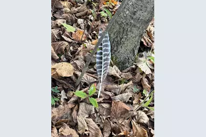 Tbd Nightingale Street, Braham, MN 55006 - Photo 12