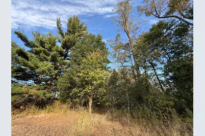 Tbd Nightingale Street, Braham, MN 55006 - Photo 46