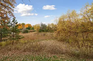 425 Carpenters Pt, Wayzata, MN 55391 - Photo 96