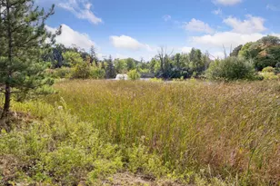 425 Carpenters Pt, Wayzata, MN 55391 - Photo 102