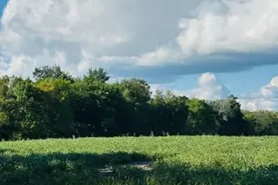 8Xxx Rushseba Trail, Rushseba Township, MN 55069 - Photo 2