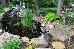 405 Vine Ave, Albert Lea, MN 56007 - Photo 34