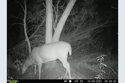 32317 170th Street, Isle, MN 56342 - Photo 12