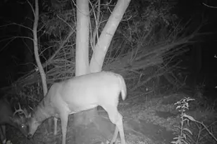 32317 170th St, Isle, MN 56342 - Photo 12