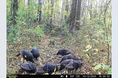 32317 170th Street, Isle, MN 56342 - Photo 14