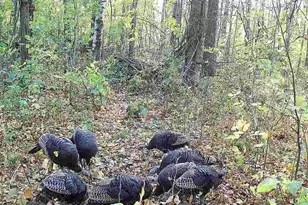 32317 170th St, Isle, MN 56342 - Photo 14