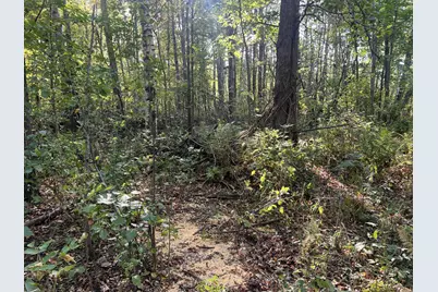 32317 170th Street, Isle, MN 56342 - Photo 4