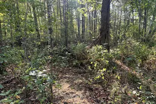 32317 170th St, Isle, MN 56342 - Photo 4