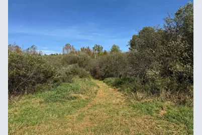 0000 460th Lane, Palisade, MN 56469 - Photo 12