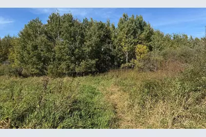 0000 460th Lane, Palisade, MN 56469 - Photo 10