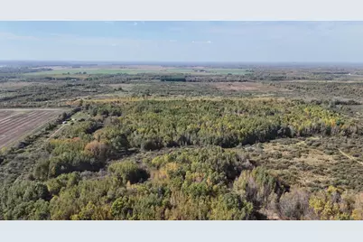 1Xxx 460th Lane, Palisade, MN 56469 - Photo 2