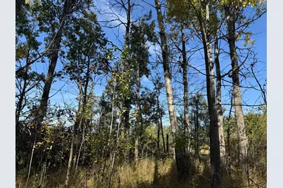 1Xxx 460th Lane, Palisade, MN 56469 - Photo 4