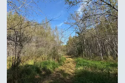 1Xxx 460th Lane, Palisade, MN 56469 - Photo 8