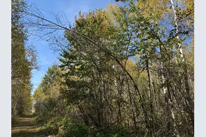 1Xxx 460th Lane, Palisade, MN 56469 - Photo 20