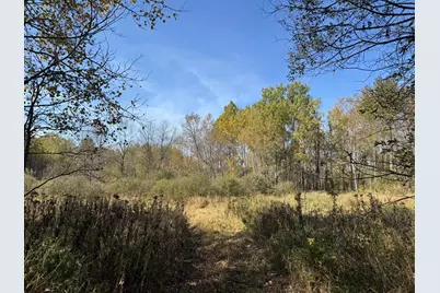 1Xxx 460th Lane, Palisade, MN 56469 - Photo 16