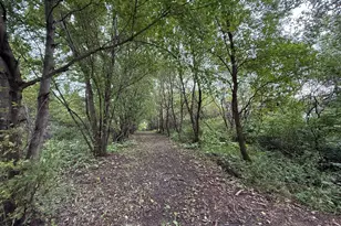 37261 280th St, Westbrook, MN 56183 - Photo 38