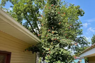 146 Washington Ave, Alden, MN 56009 - Photo 42