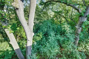6831 Stonewood Ct, Eden Prairie, MN 55346 - Photo 6