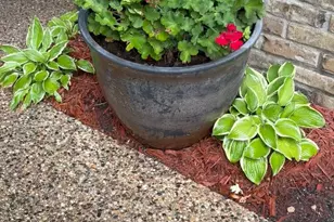 6831 Stonewood Ct, Eden Prairie, MN 55346 - Photo 44