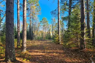 Tbd Leathers Rd, Orr, MN 55771 - Photo 1