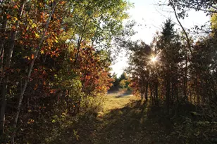 Xxx Soderbeck Rd, Grantsburg, WI 54840 - Photo 1