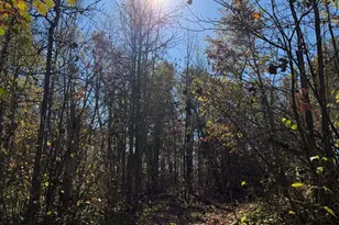 17256 Trengove Rd NW, Solway, MN 56678 - Photo 68