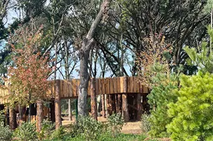 8762 147th Ave NW, Ramsey, MN 55303 - Photo 30