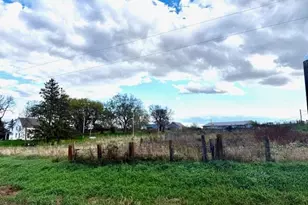 14327 County 1, Caledonia, MN 55921 - Photo 2