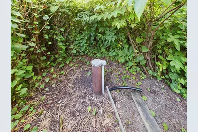 1 Birch Island, Angle Twp, MN 56711 - Photo 42