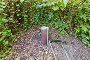 1 Birch Is, Angle Twp, MN 56711 - Photo 42