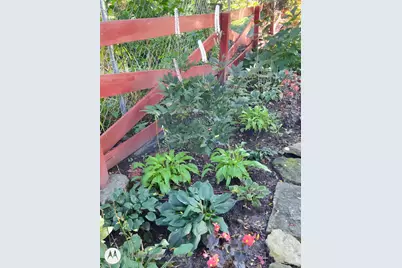 2908 32nd Avenue NE, Saint Anthony, MN 55418 - Photo 50