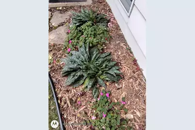 2908 32nd Avenue NE, Saint Anthony, MN 55418 - Photo 48