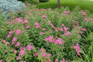 2908 32nd Ave NE, Saint Anthony, MN 55418 - Photo 52