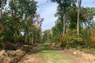 Tbd County Road T 4, Dairyland, WI 54830 - Photo 1