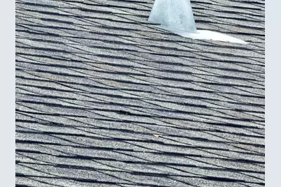 909 Bradford Avenue, Argyle, MN 56713 - Photo 38