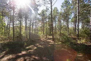 Lot 4 Nighthawk Dr, Star Prairie Township, WI 54025 - Photo 38