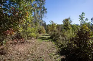 Lot 4 Nighthawk Dr, Star Prairie Township, WI 54025 - Photo 36