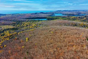 11 W Deeryard Lake Rd, Lutsen Township, MN 55612 - Photo 2