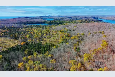 Xx W Deeryard Lake Rd, Lutsen Township, MN 55612 - Photo 4