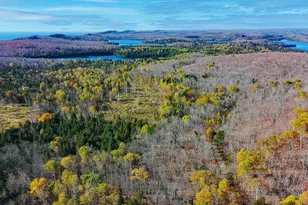 11 W Deeryard Lake Rd, Lutsen Township, MN 55612 - Photo 4
