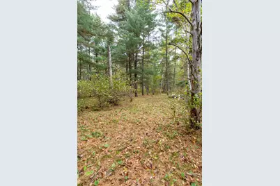 Tbd Harriet Lake Trail NW, Backus, MN 56435 - Photo 8